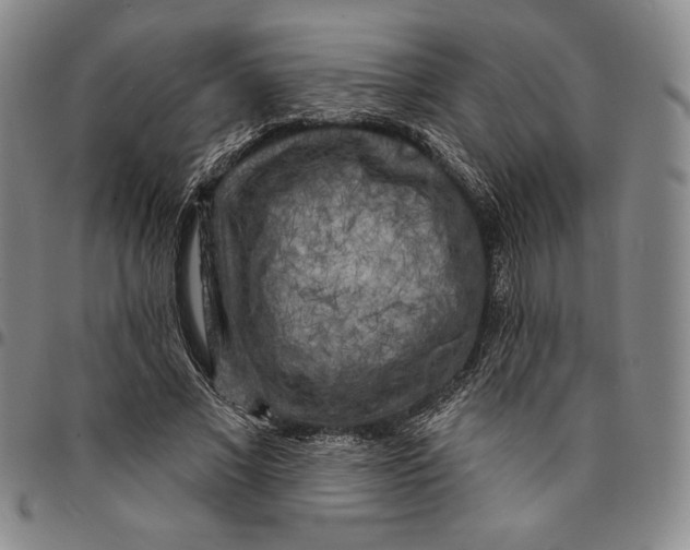 X0000094380685200711301401
