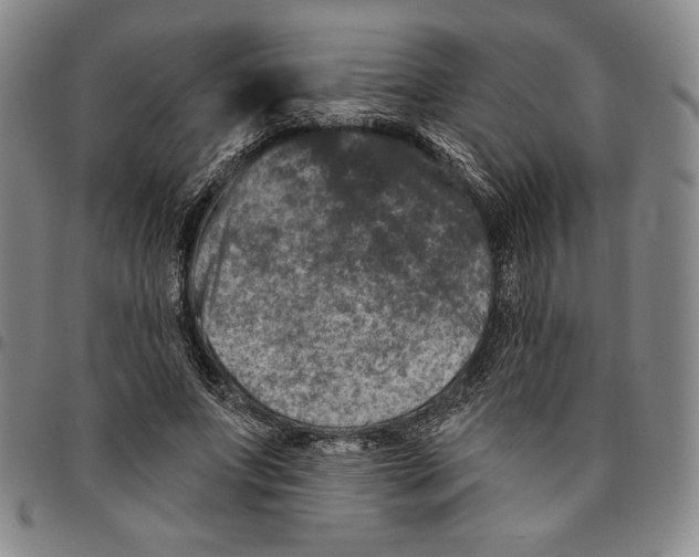 X0000094380687200711301401