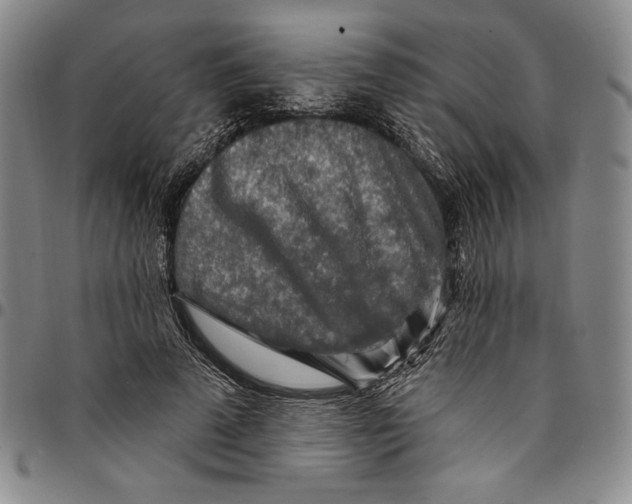 X0000094380689200711301401