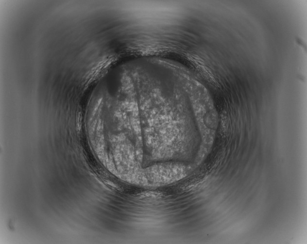 X0000094380691200711301401