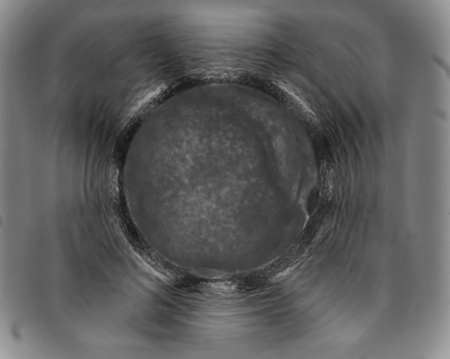 X0000094380692200711301401