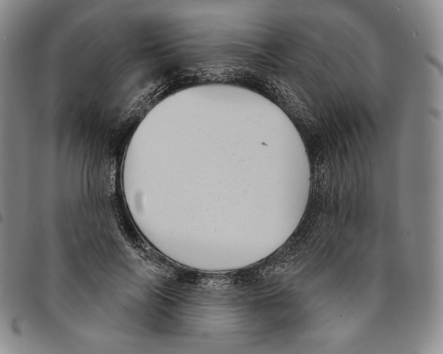 X0000094380694200711301401