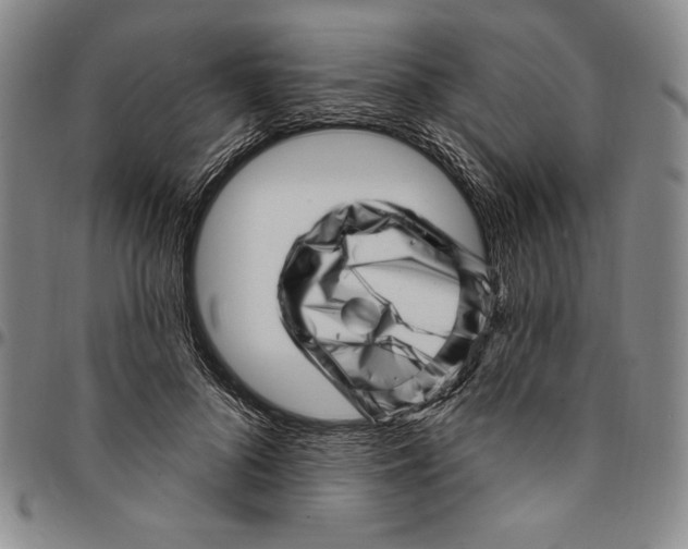 X0000094380696200711301401