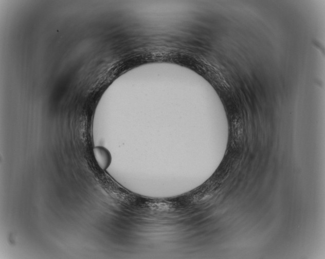 X0000094380698200711301401