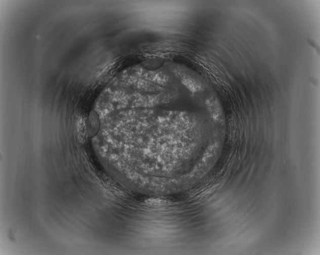 X0000094380699200711301401