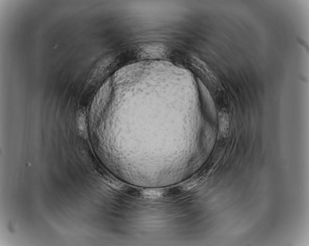 X0000094380701200711301401