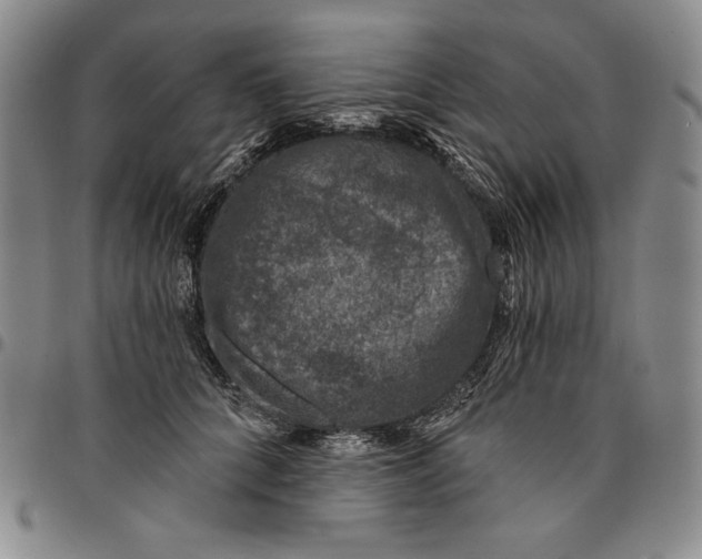 X0000094380704200711301400