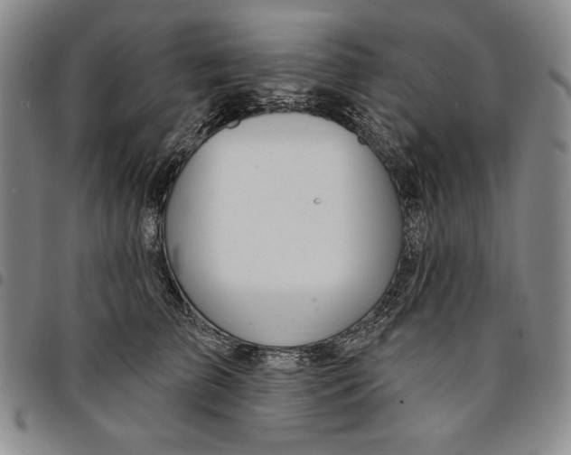 X0000094380709200711301400