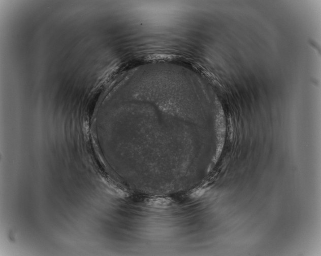 X0000094380716200711301400
