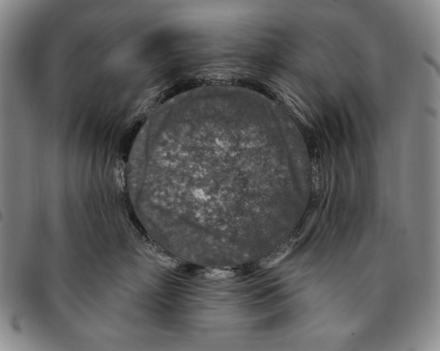 X0000094380718200711301400