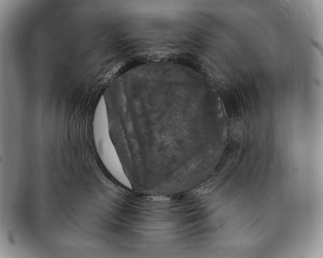 X0000094380719200711301400