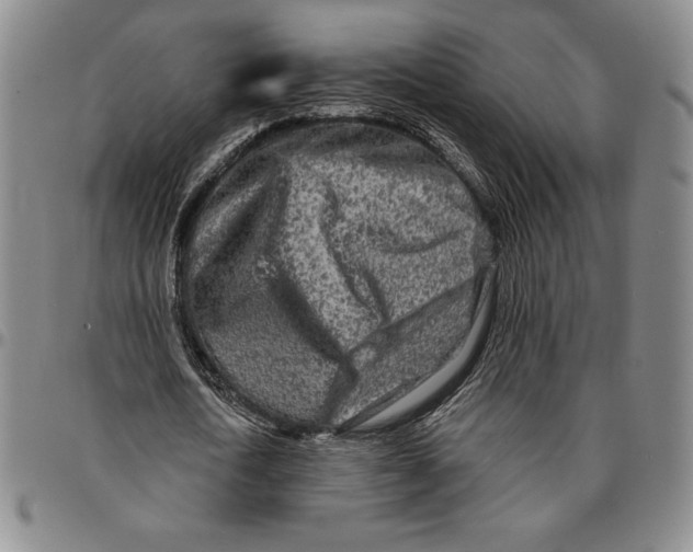 X0000094380722200711301400