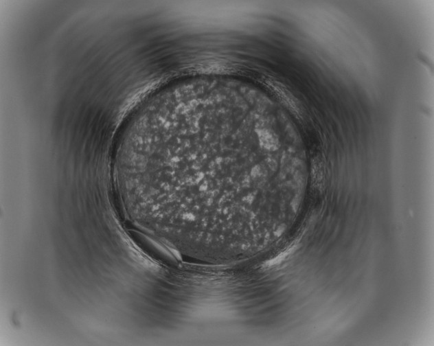 X0000094380725200711301400