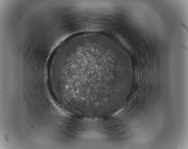 X0000094380726200711301400