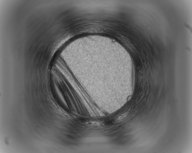 X0000094380727200711301400