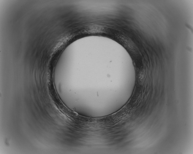 X0000094380732200711301400