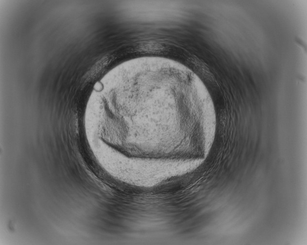 X0000094380734200711301400