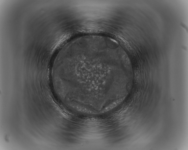 X0000094380735200711301400