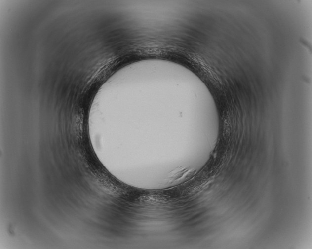 X0000094380739200711301400