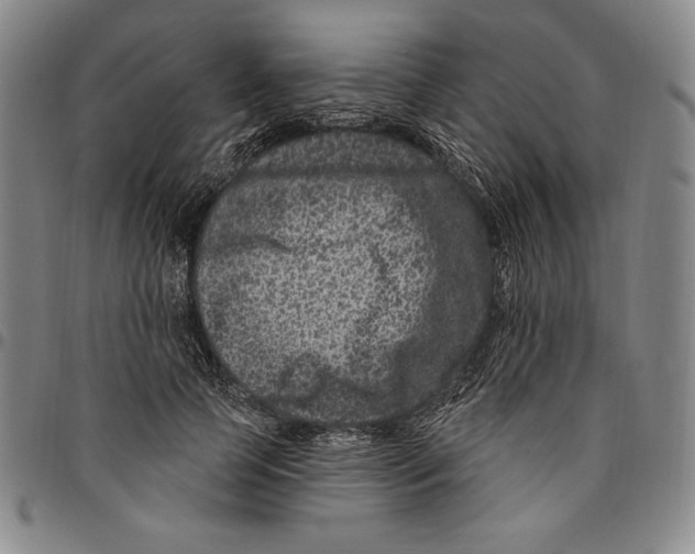 X0000094380745200711301400