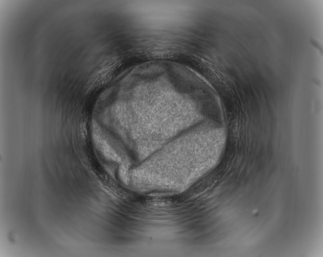 X0000094380746200711301400