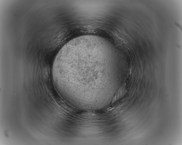 X0000094380747200711301400