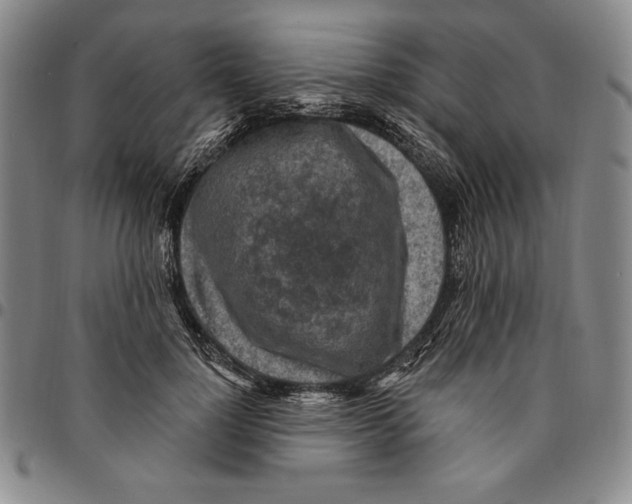 X0000094380748200711301400