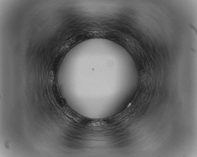 X0000094380752200711301400