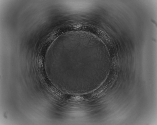 X0000094380754200711301400