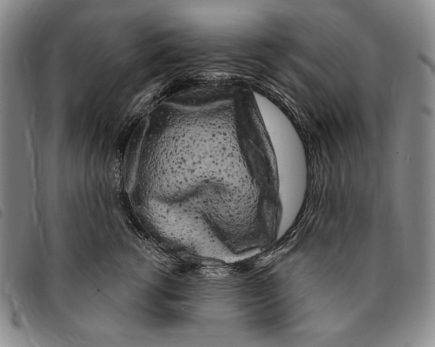 X0000094380762200711301400