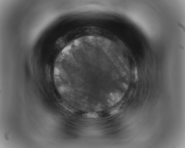 X0000094380765200711301400