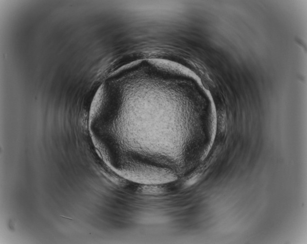 X0000094380766200711301400