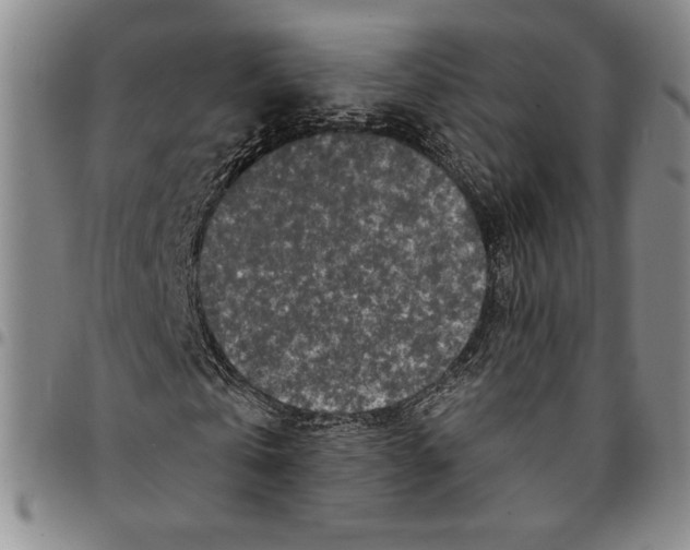 X0000094380769200711301400