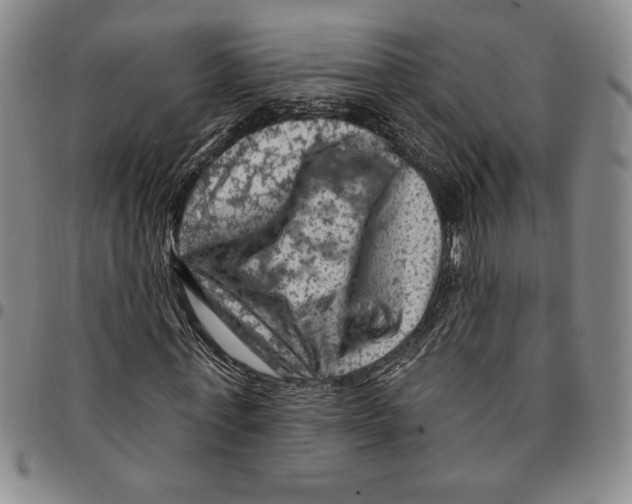 X0000094380771200711301400