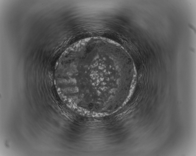 X0000094380772200711301400