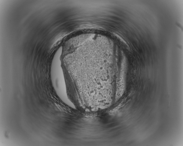 X0000094380775200711301400