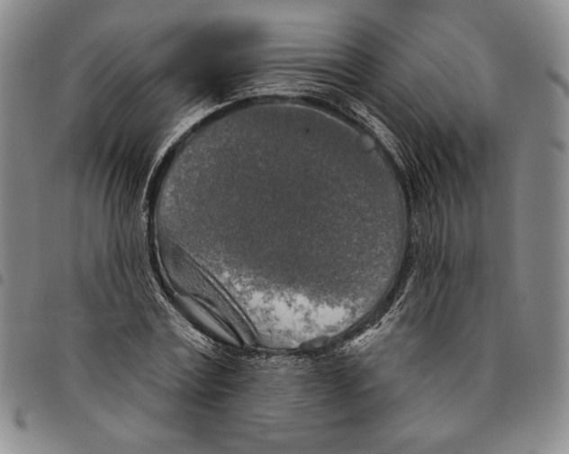 X0000094380779200711301359