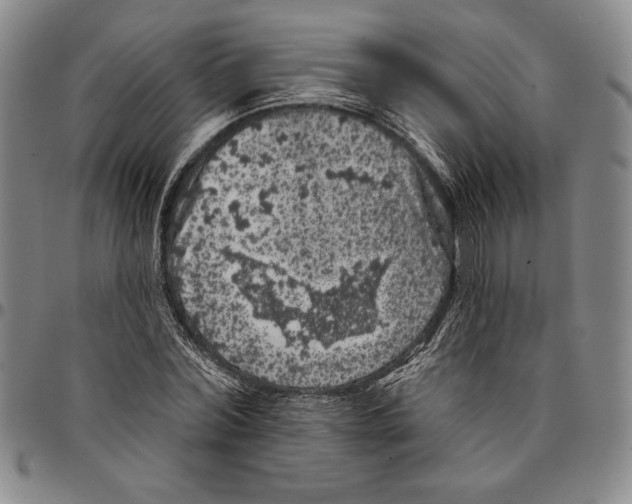 X0000094380780200711301359