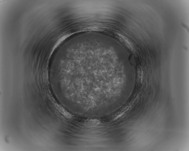 X0000094380784200711301359