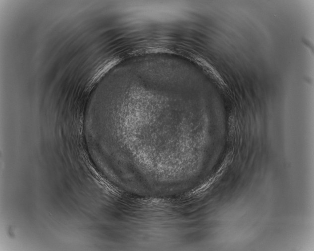 X0000094380785200711301359