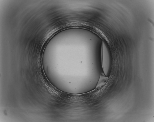 X0000094380786200711301359