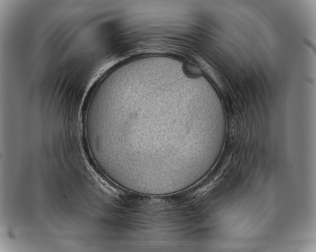X0000094380787200711301359