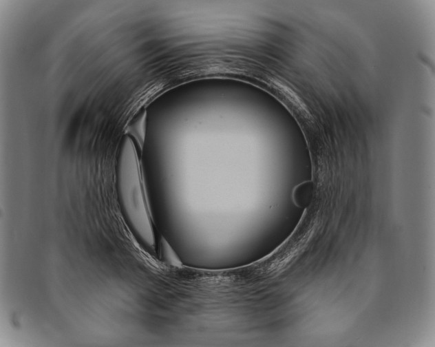 X0000094380793200711301359