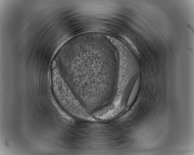 X0000094380796200711301359