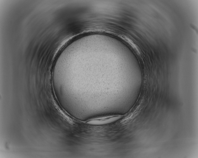 X0000094380799200711301359