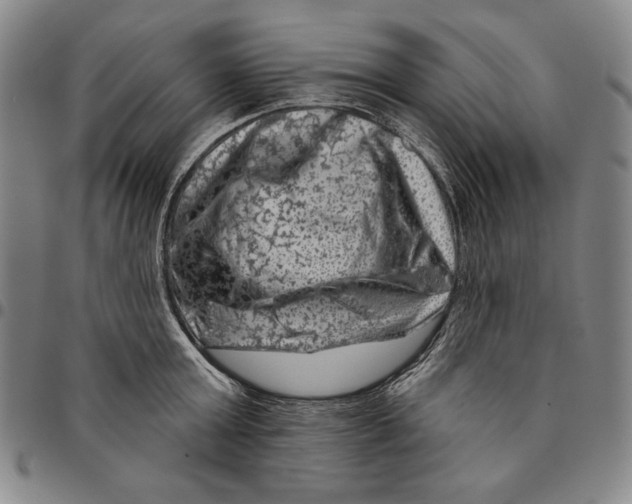 X0000094380803200711301359