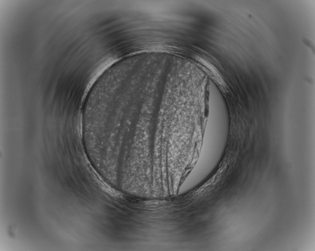 X0000094380804200711301359