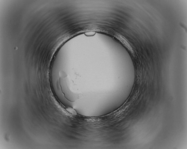 X0000094380805200711301359