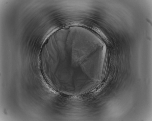 X0000094380806200711301359
