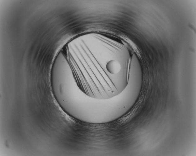 X0000094380807200711301359